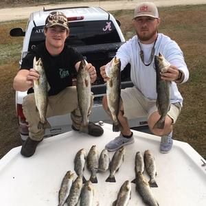 Meet your Posher, Dalton